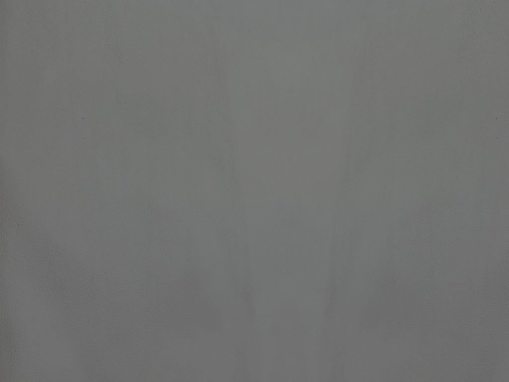 Cuir lisse gris perle