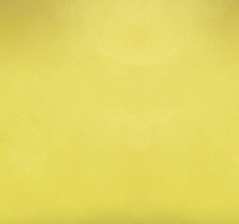 Smooth pistachio leather