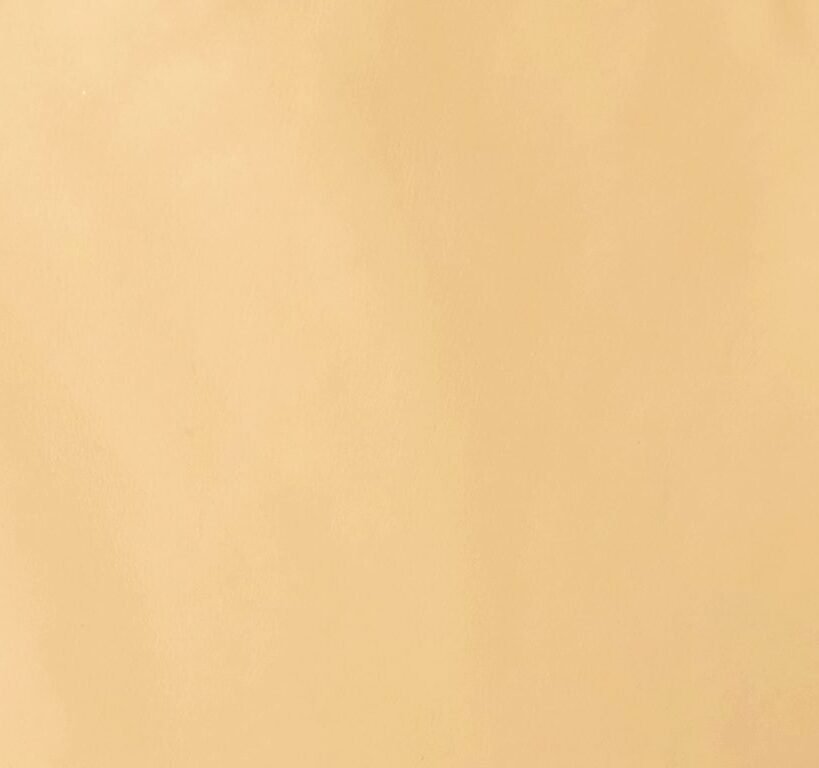Camel smooth leather