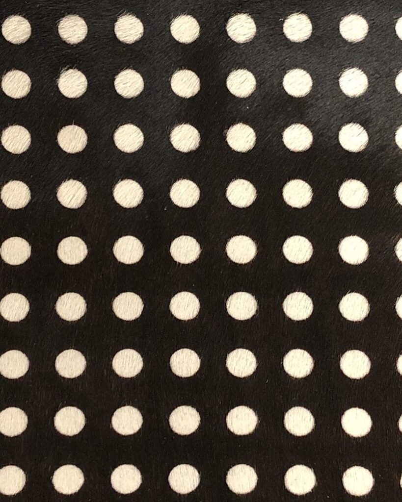 Black coat with white spots