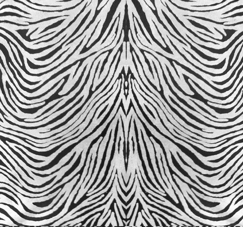 Zebra hair