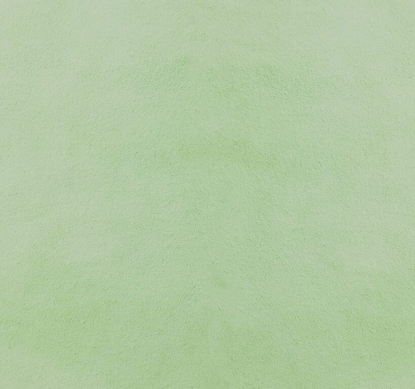 Mint velvet